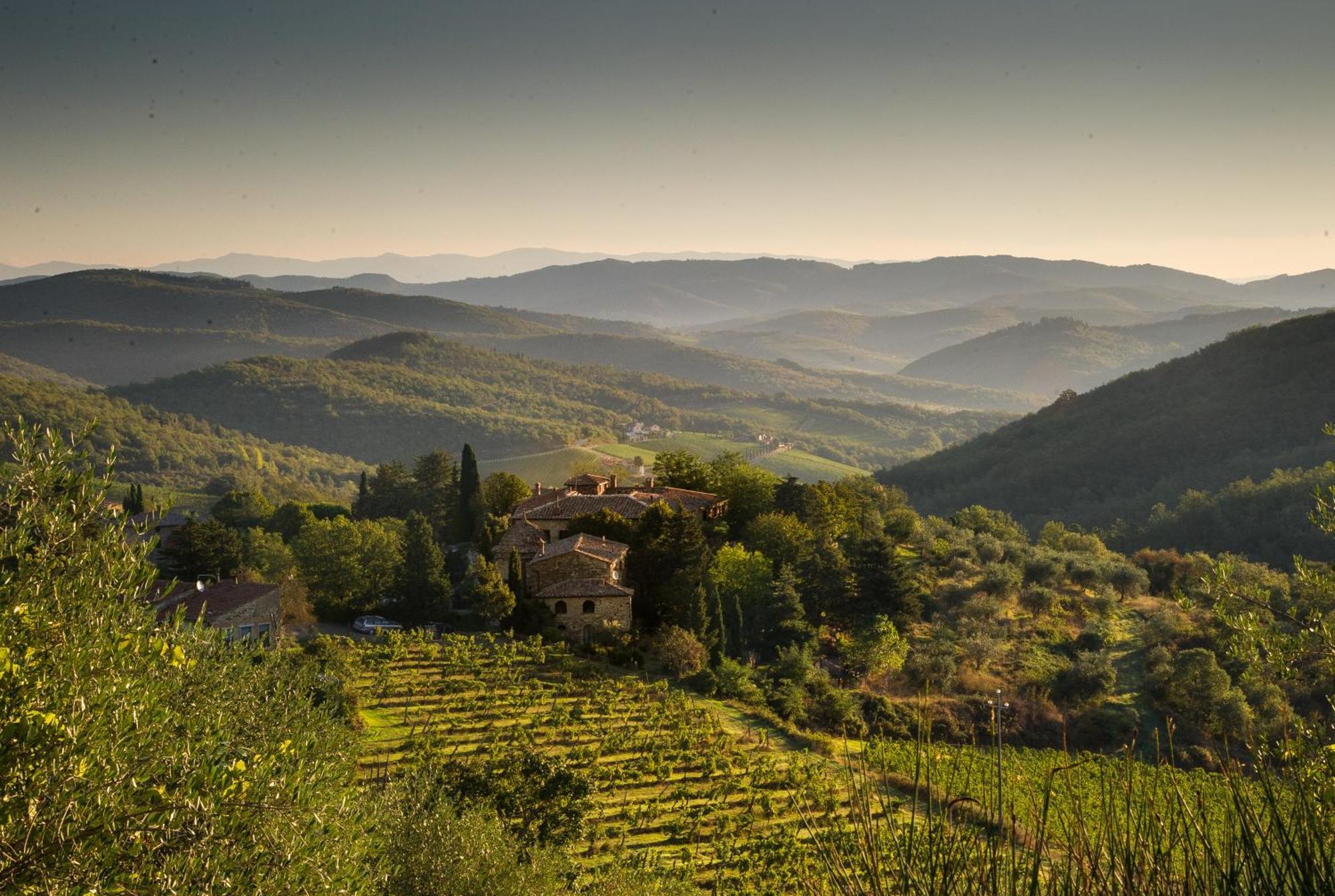 Tregole Lejlighed Castellina in Chianti Eksteriør billede